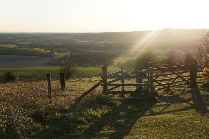 Walks in the South Downs